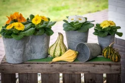 Artstone bloempot Claire D13 H14 cm grijs