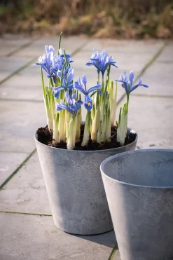 Artstone bloempot Claire D17 H15 cm grijs