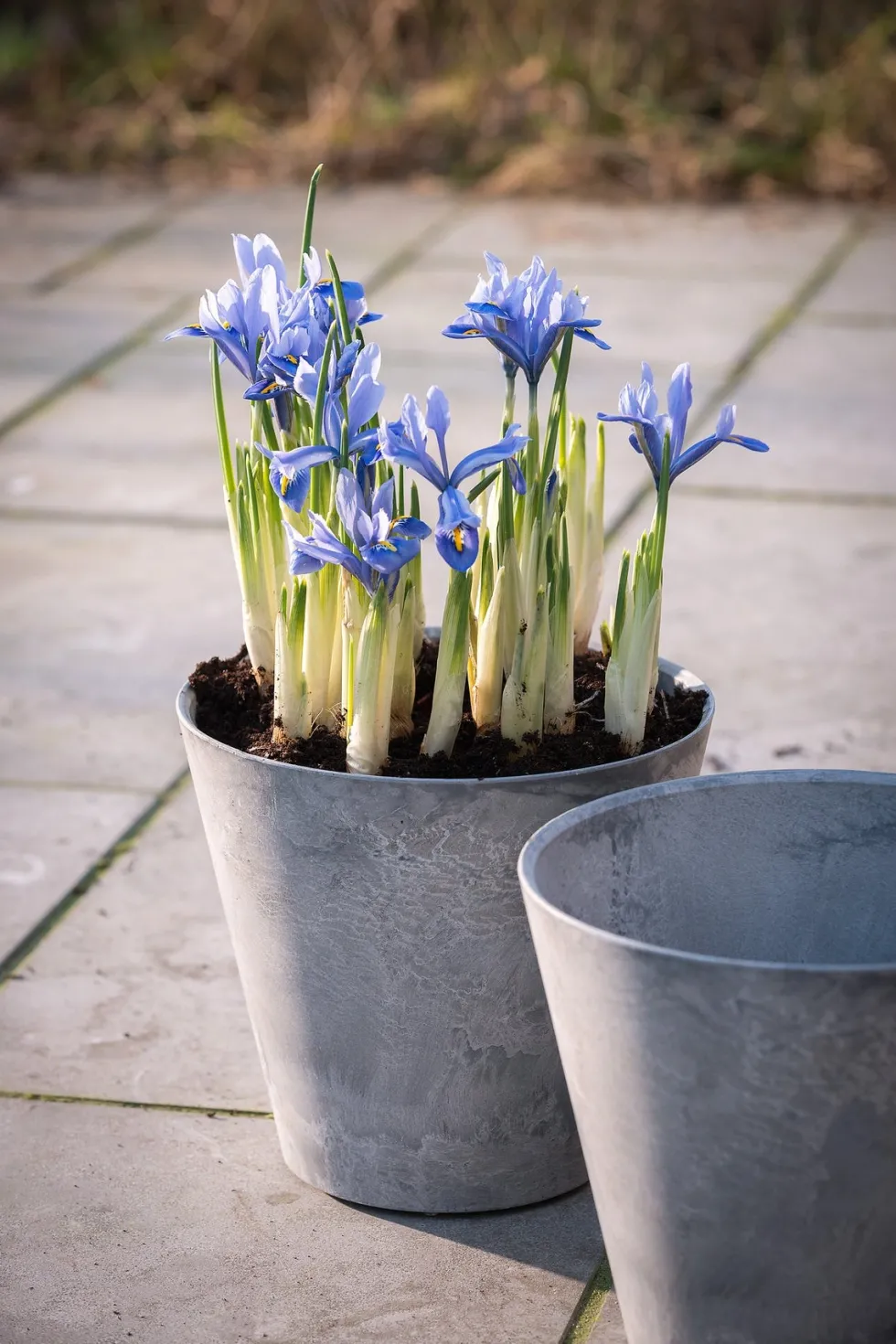 Artstone bloempot Claire D17 H15 cm grijs