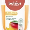 Bolsius geurkaars True Scents Mango oranje 45 uur D 8,4 H 5,2 cm