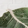 Boltze schaal Kool groen 22,5 x 21 x 3 cm