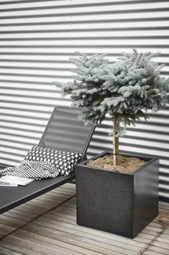 Capi Europe plantenbak Lux Terrazzo zwart 20 x 20 x 20 cm