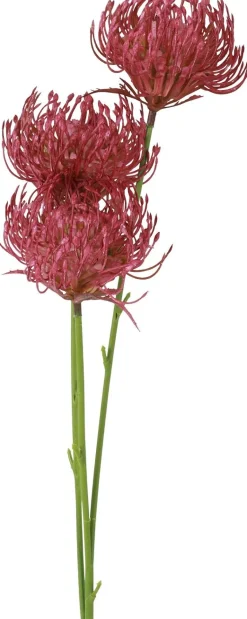 Countryfield kunstbloem Chrysant bordeaux H 107 cm