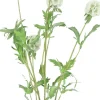 Countryfield kunstbloem Combretocarpus wit H 97 cm