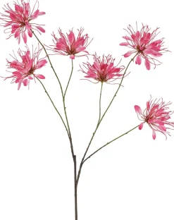 Countryfield kunstbloem Spinlelie roze H 118 cm
