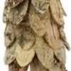 Decoratieboom naturel 50 cm