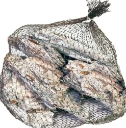 Decoratie boomschors Maritima wit 300 gr