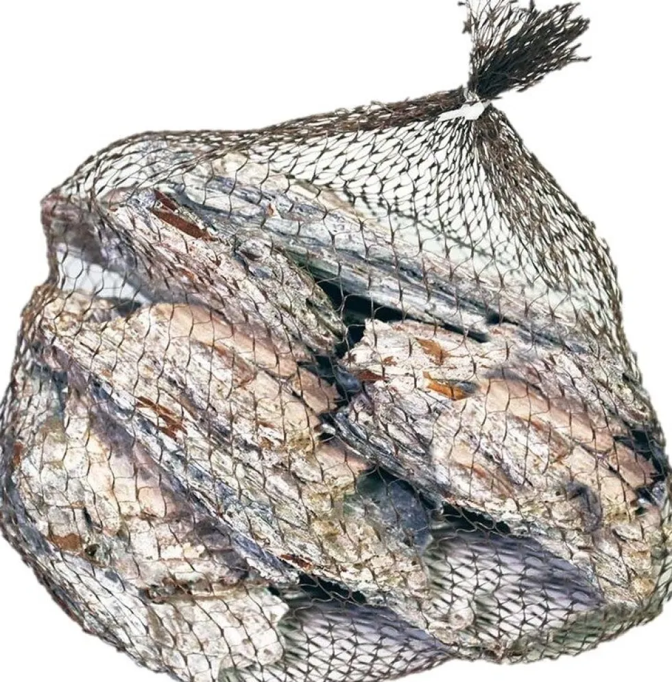 Decoratie boomschors Maritima wit 300 gr
