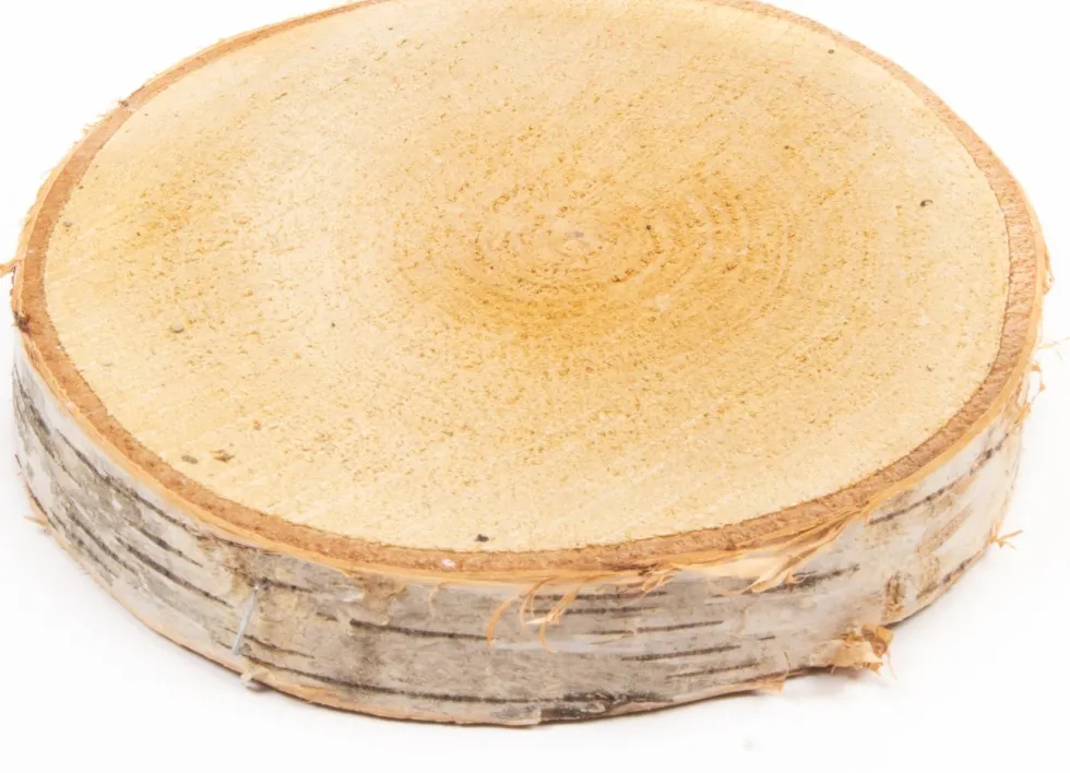 decoratie boomstammen berk D 18 H 2 cm