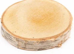 decoratie stammen berk D 25 H 5 cm