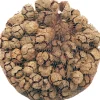 Decoratie takken Cypressus naturel 300 g