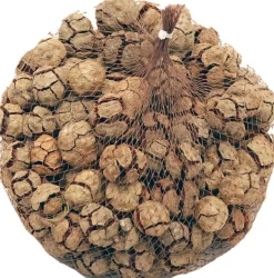 Decoratie takken Cypressus naturel 300 g