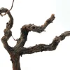 Decoratie tak Nathan naturel 35 cm
