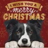Decoratietegel Kerst border collie 10,5 x 10,5 cm