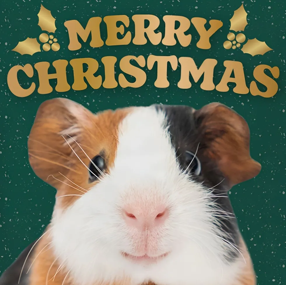 Decoratietegel Kerst huiscavia 10,5 x 10,5 cm