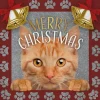 Decoratietegel Kerst kat rood 10,5 x 10,5 cm