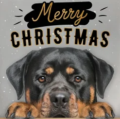 Decoratietegel Kerst rottweiler 10,5 x 10,5 cm