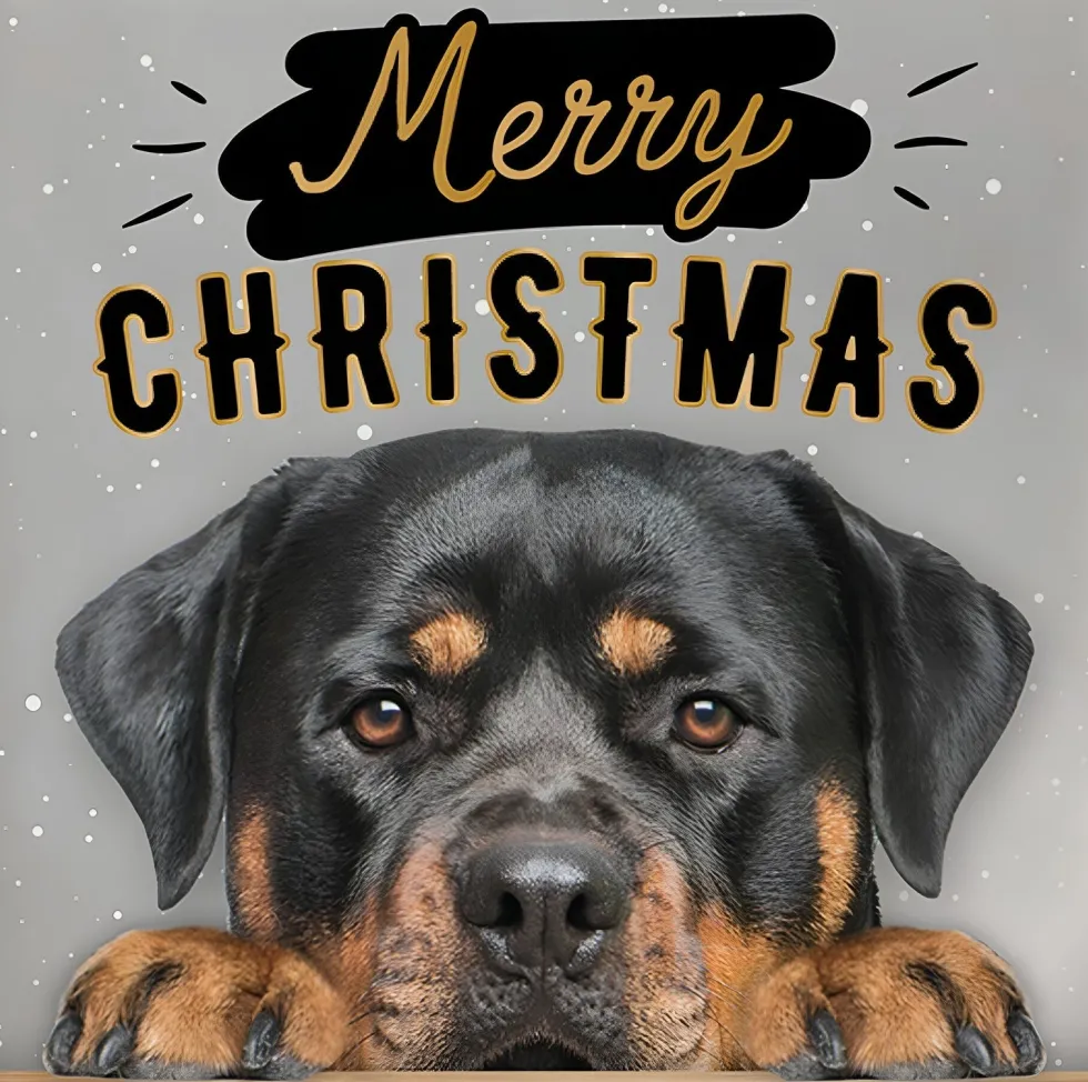 Decoratietegel Kerst rottweiler 10,5 x 10,5 cm