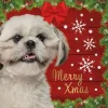 Decoratietegel Kerst shih tzu 10,5 x 10,5 cm
