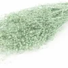 Droogbloemen Misty Massasa groen H 60 cm