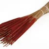 Droogbloemen Rietsigaren (Typha) rood H 60 cm