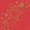 Duni servet Holiday Star rood / goud 24 x 24 cm 20 stuks