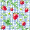 Duni servet Strawberry Picnic blauw 33 x 33 cm 20 stuks
