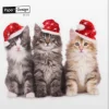 Duni servetten Xmas Cats wit 33 x 33 cm 20 stuks