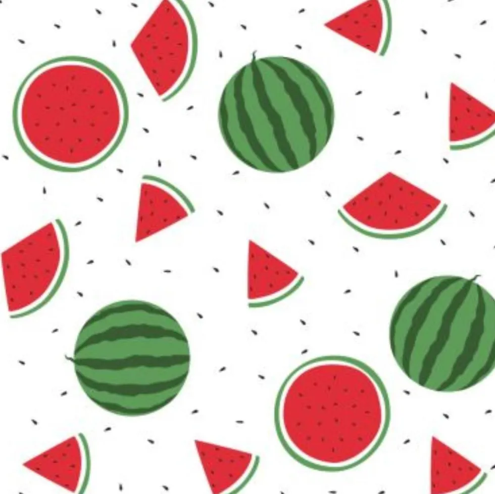 Duni servet Watermelons wit 33 x 33 cm 20 stuks