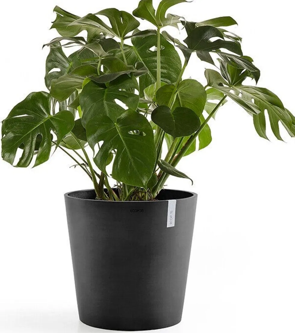 Ecopots bloempot Amsterdam donkergrijs D 50 H 44 cm