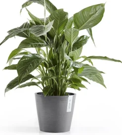 Ecopots bloempot Amsterdam grijs D 20 H 17,1 cm