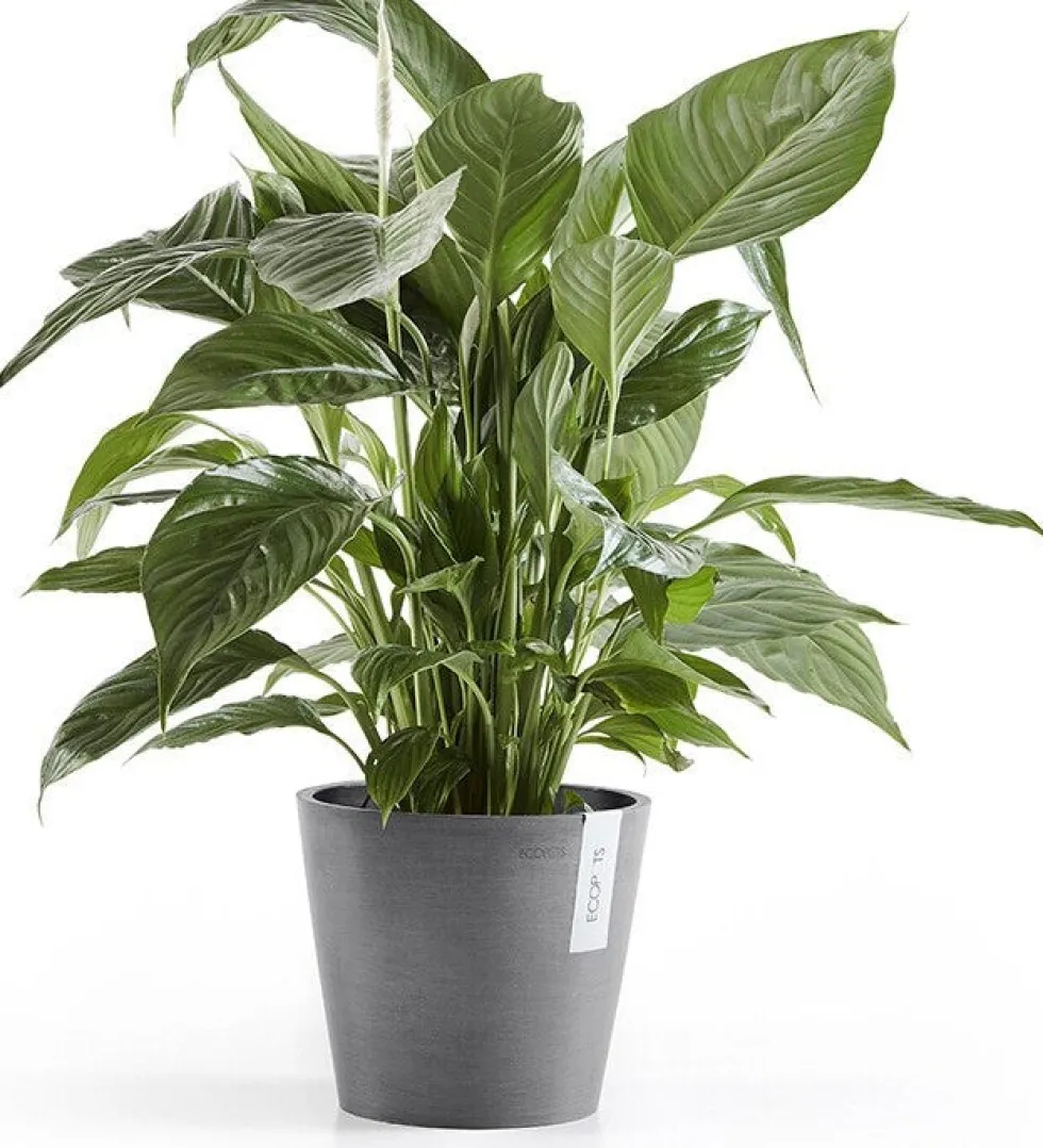 Ecopots bloempot Amsterdam grijs D 20 H 17,1 cm