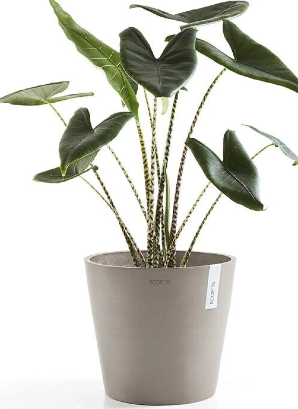 Ecopots bloempot Amsterdam taupe D 30 H 26,3 cm