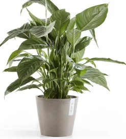 Ecopots bloempot Amsterdam taupe D 20 H 17,1 cm
