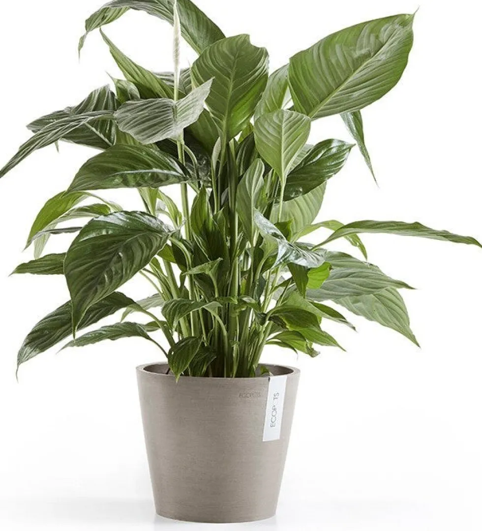 Ecopots bloempot Amsterdam taupe D 20 H 17,1 cm