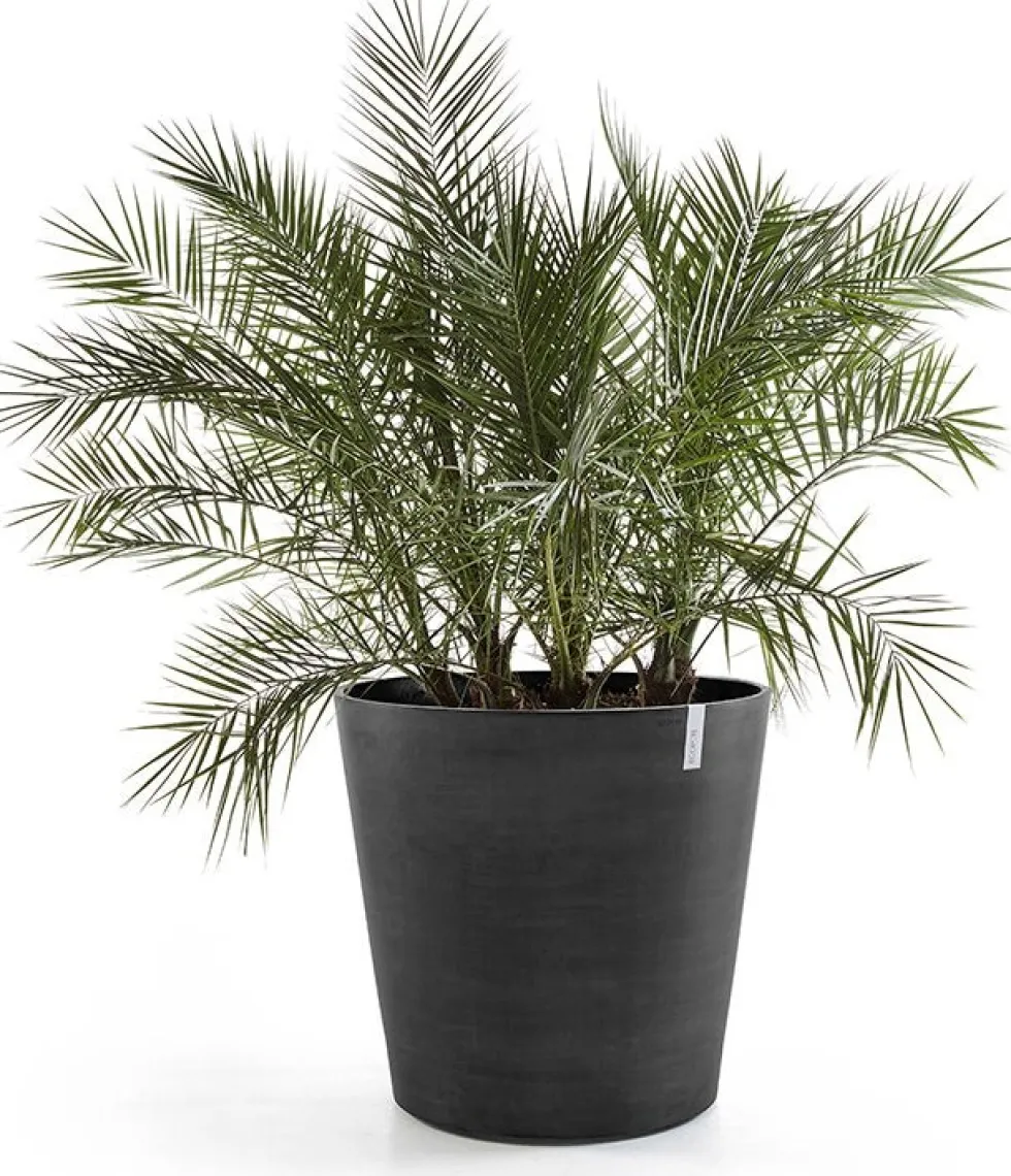 Ecopots bloempot Amsterdam Wheels grijs D 60 H 56 cm