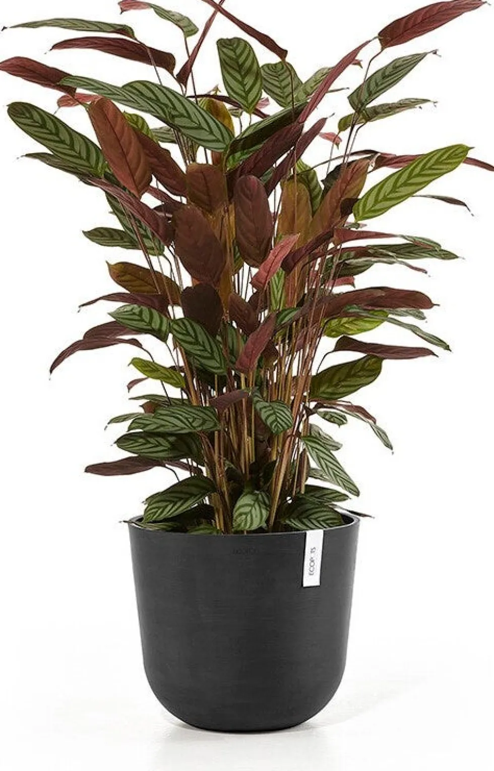 Ecopots bloempot Oslo donkergrijs D 35 H 30,5 cm