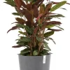 Ecopots bloempot Oslo grijs D 35 H 30,5 cm