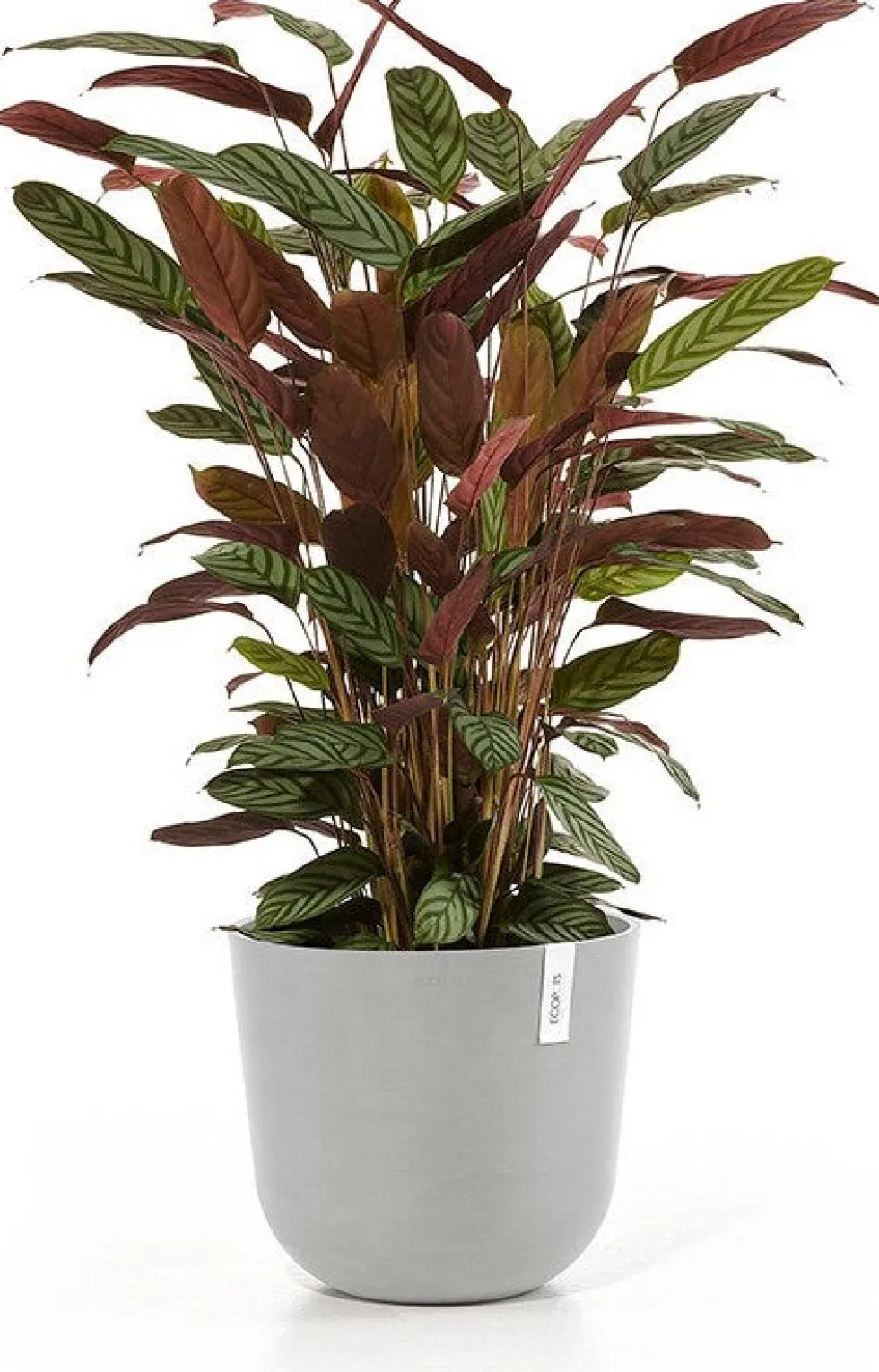 Ecopots bloempot Oslo wit grijs D 35 H 30,5 cm