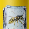 Ecostyle wespen freezespray 500 ml
