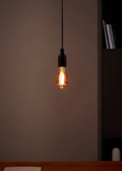Eglo LED lamp E27 Golden Age extra warm 300 lm 4 W ST64