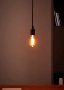 Eglo LED lamp E27 Golden Age extra warm 300 lm 4 W ST64