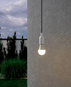 Eglo LED lamp E27 warm wit 830 lm 6,1 W A60