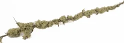 Eikentak met boommos groen H 2 m