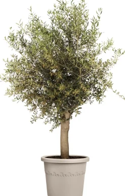 Elho bloempot Algarve beige D 25 H 20,8 cm