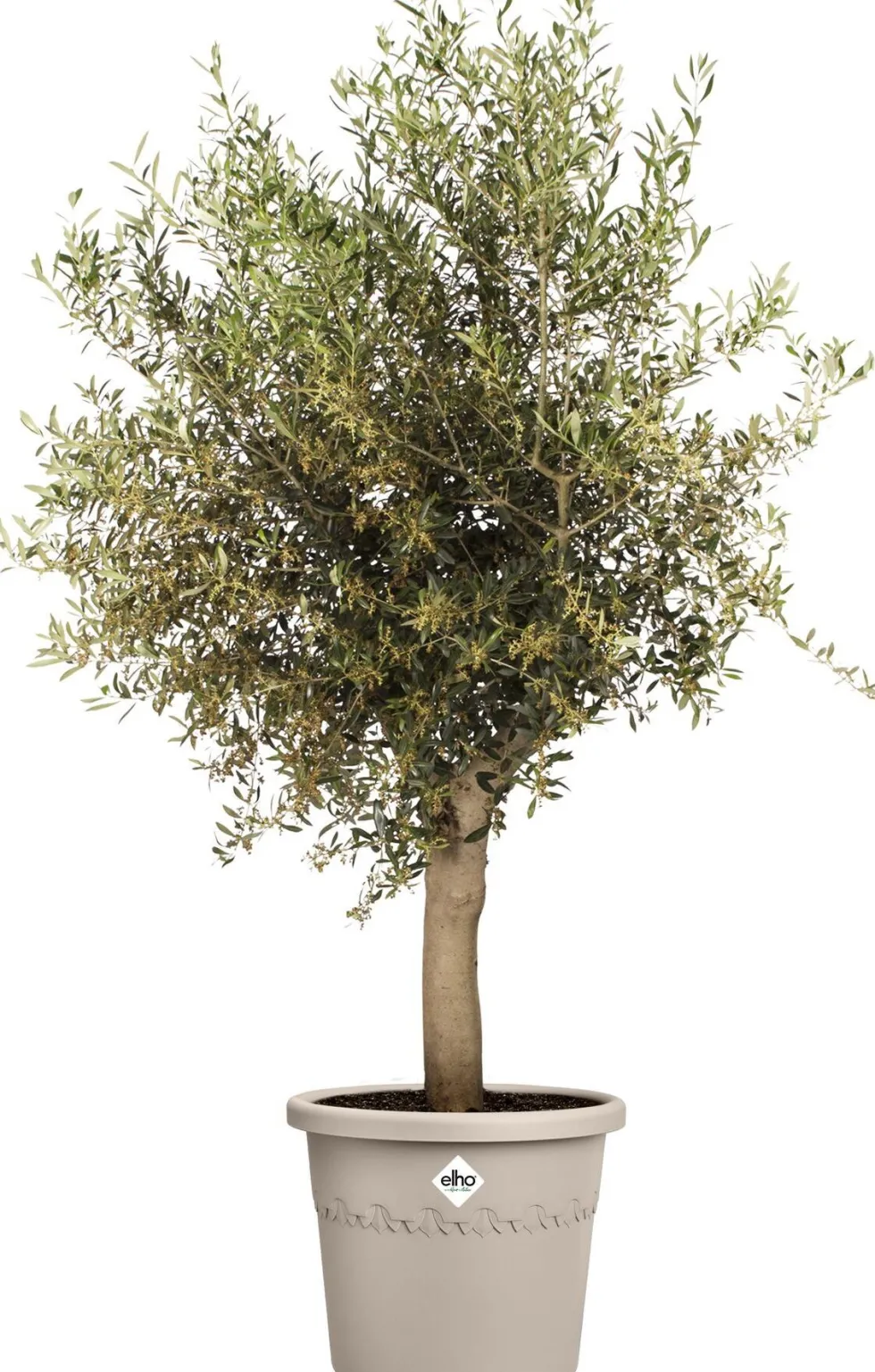 Elho bloempot Algarve beige D 25 H 20,8 cm