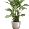 Elho bloempot Amber Coupe beige D 41 H 58 cm