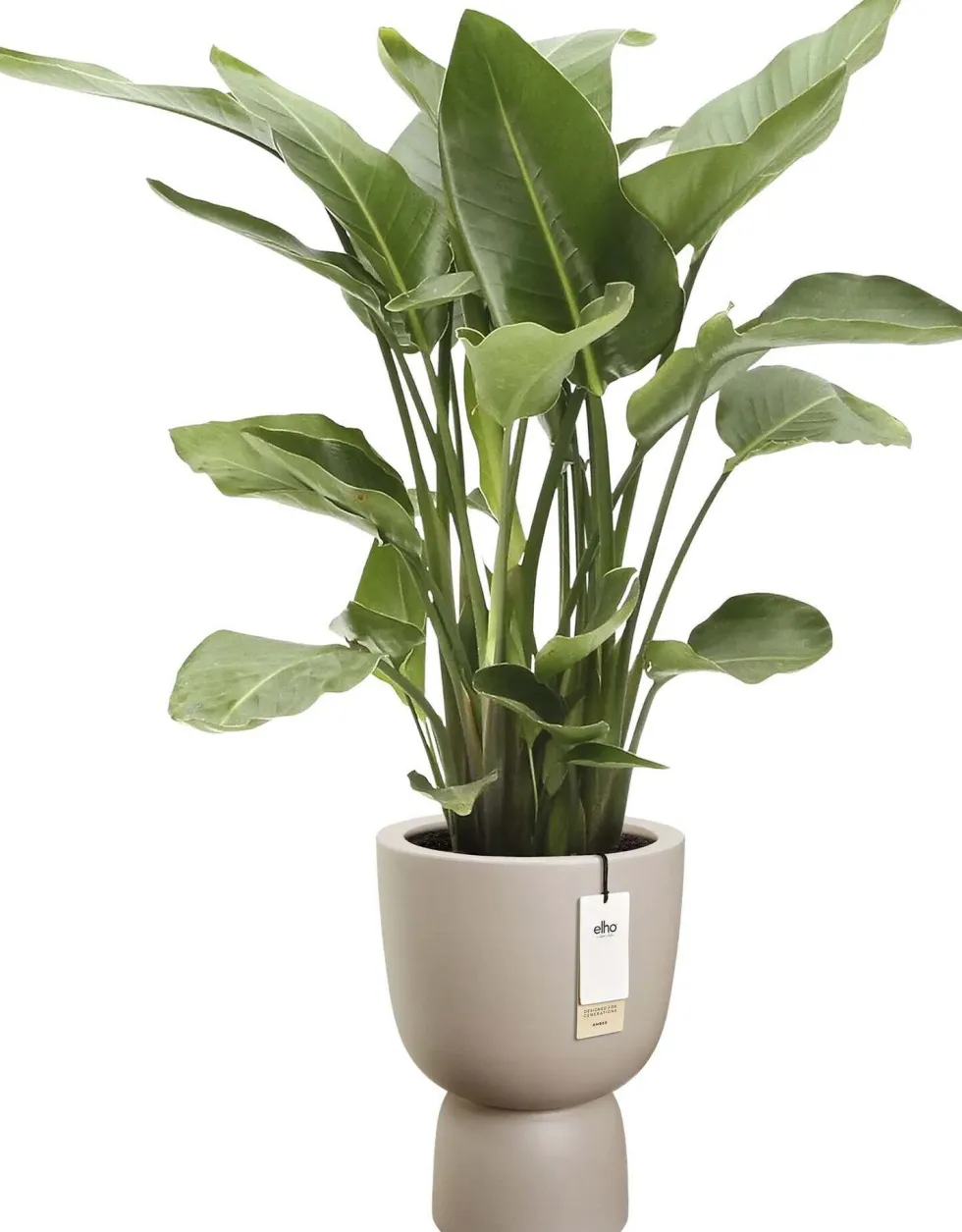 Elho bloempot Amber Coupe beige D 41 H 58 cm