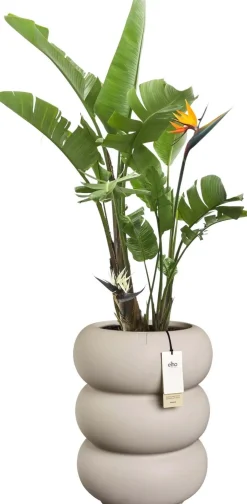 Elho bloempot Amber Roll beige D 43 H 58 cm
