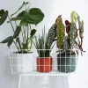 Elho bloempot B. for soft wit D 16 H 15 cm